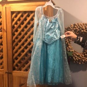 Disney unused Elsa dress